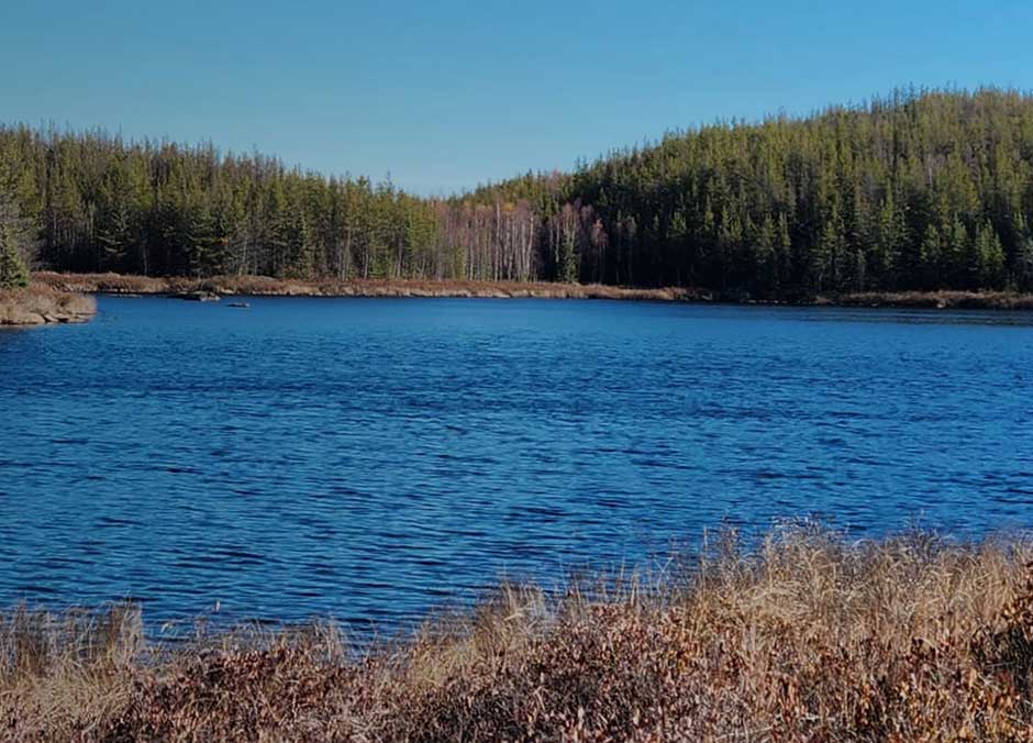 Fork Lake - Image 1