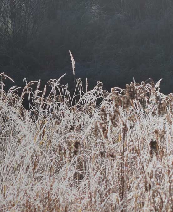 Munro Lake - Image 2